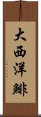 大西洋鯡 Scroll