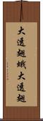 大透翅蛾 Scroll