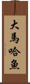 大馬哈魚 Scroll