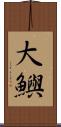 大鱮 Scroll