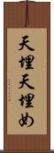 天埋 Scroll