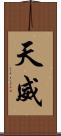 天威 Scroll