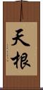 天根 Scroll