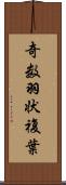 奇数羽状複葉 Scroll