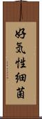 好気性細菌 Scroll