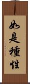 如是種性 Scroll