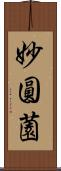 妙圓薗 Scroll