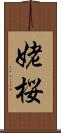 姥桜 Scroll