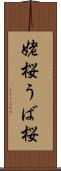 姥桜 Scroll
