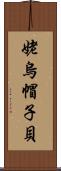 姥烏帽子貝 Scroll