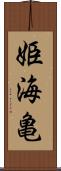 姫海亀 Scroll