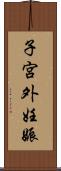 子宮外妊娠 Scroll