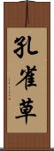 孔雀草 Scroll