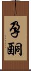 孕酮 Scroll