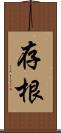 存根 Scroll