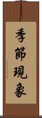 季節現象 Scroll