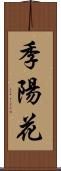 季陽花 Scroll