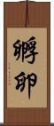 孵卵 Scroll