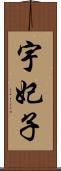 宇妃子 Scroll