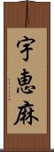 宇恵麻 Scroll