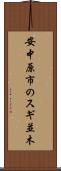 安中原市のスギ並木 Scroll