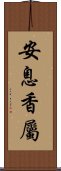 安息香屬 Scroll