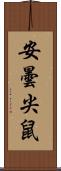 安曇尖鼠 Scroll
