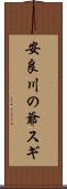 安良川の爺スギ Scroll