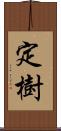 定樹 Scroll