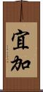 宜加 Scroll