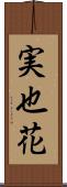 実也花 Scroll