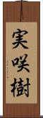 実咲樹 Scroll