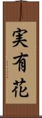 実有花 Scroll