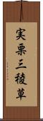 実栗 Scroll