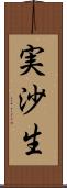 実沙生 Scroll