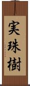 実珠樹 Scroll