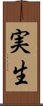 実生 Scroll