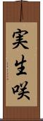 実生咲 Scroll