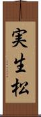 実生松 Scroll