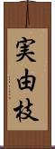 実由枝 Scroll