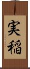実稲 Scroll