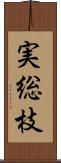 実総枝 Scroll