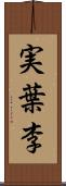 実葉李 Scroll