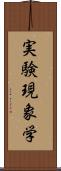 実験現象学 Scroll