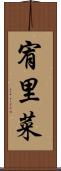 宥里菜 Scroll