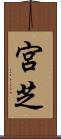 宮芝 Scroll