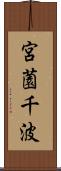 宮薗千波 Scroll