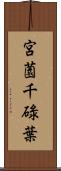 宮薗千碌葉 Scroll