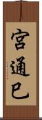 宮通巳 Scroll