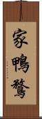 家鴨 Scroll